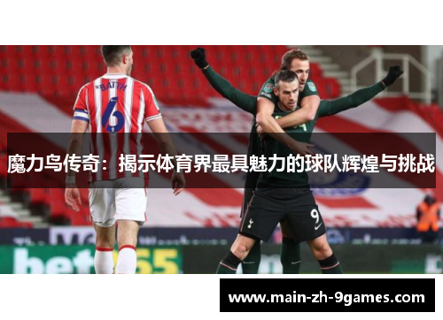 魔力鸟传奇：揭示体育界最具魅力的球队辉煌与挑战