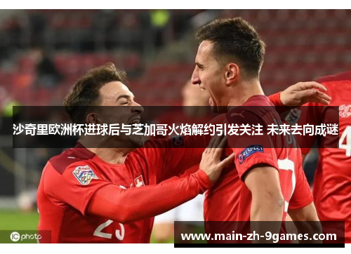 沙奇里欧洲杯进球后与芝加哥火焰解约引发关注 未来去向成谜 沙奇里欧洲杯进球后与芝加哥火焰解约引发关注 未来去向成谜